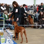 01 - Rheinberg, Feb. 2009, Jüngstenklasse, unsere erste Ausstellung