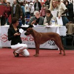 26 - Hannover, ...und gewinnt die Jugendklasse mit V1