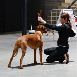 28 - Offenburg, März 2010, Zwischenklasse, V3
