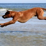 40 - Jump!
