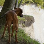 49 - ganz schön tief...