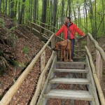 53 - Abstieg zum Kieler Ufer