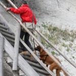 66 - dann ging es über die "Hühnerleiter" wieder hinauf