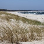 73 - "unser" Strand, 8 km langes Vergnügen