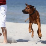 86 - hops... ;)
