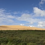 01 - nach zwei Regentagen endlich blauer Himmel