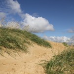 02 - auf dem Weg zur Rubjerg Knude,