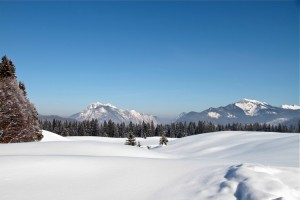 01 - die Chiemgauer Alpen