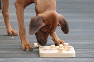 07 - zielgerichtet werden die Klötzchen gepackt